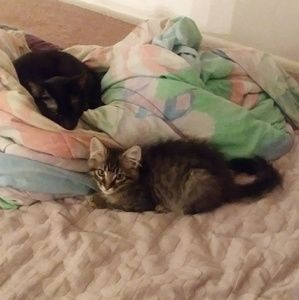 Meet your Posher, Aubrey